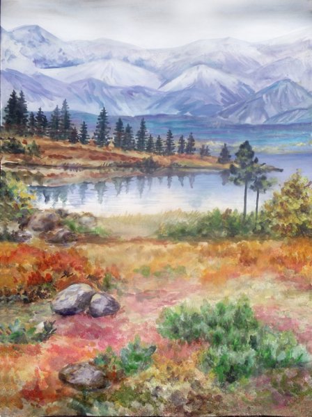 Природа тундры рисунок