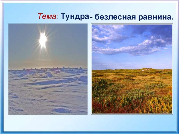 Тундра зимой и летом