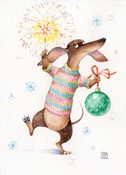 Такса в колпачке