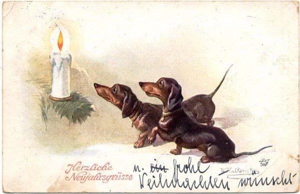 Винтажные открытки с собаками