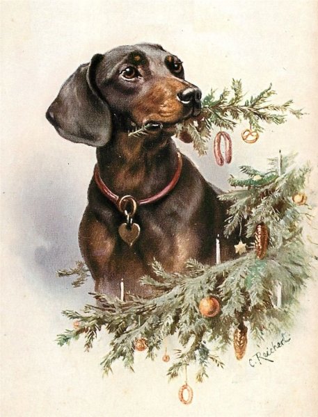 Рисуем таксу в одежде