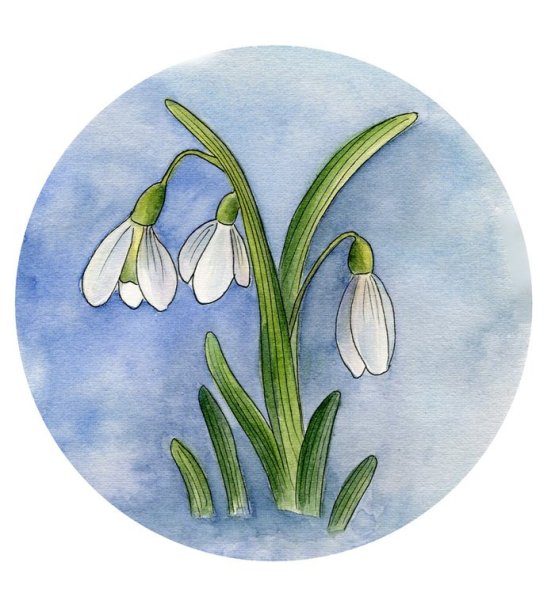 Подснежник Ганс христиан Андерсен