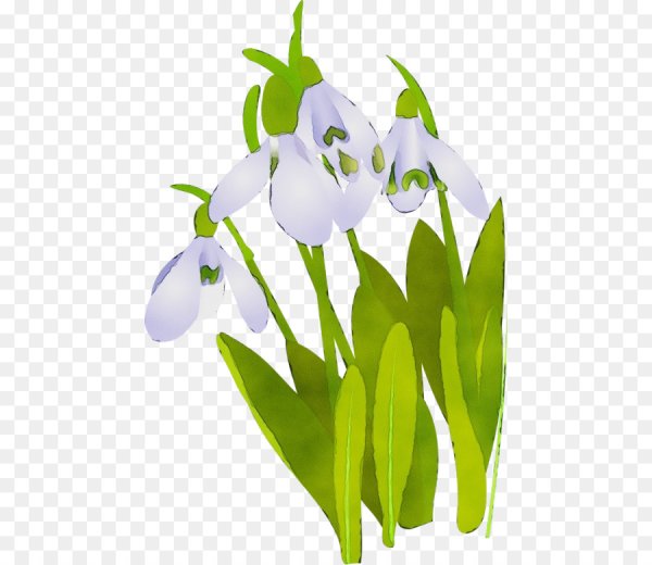 Весенние цветы мультяшные