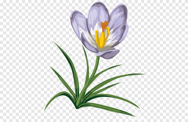 Рисование первых весенних цветов