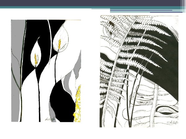 Линия и пятно в композиции