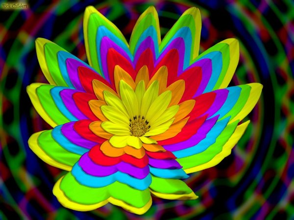 Радужные растения