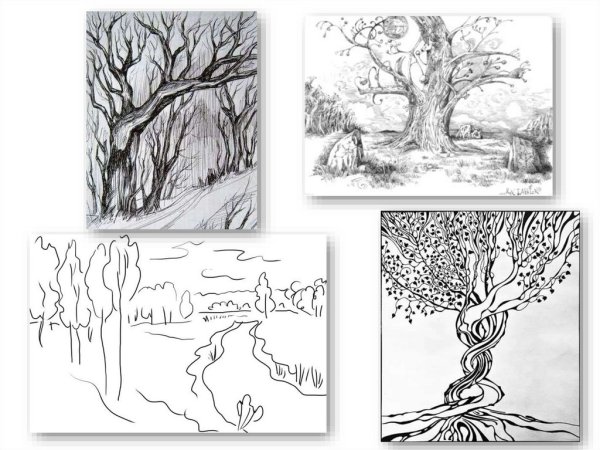 Графика характер линий