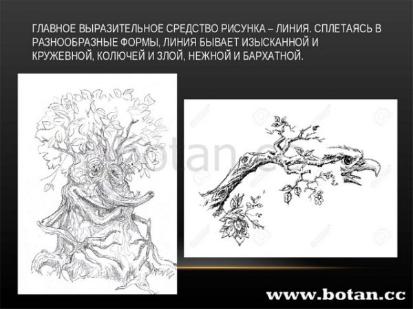 Линия и ее выразительные