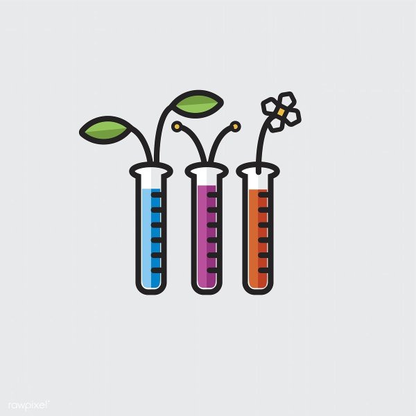 Химические колбы цветные