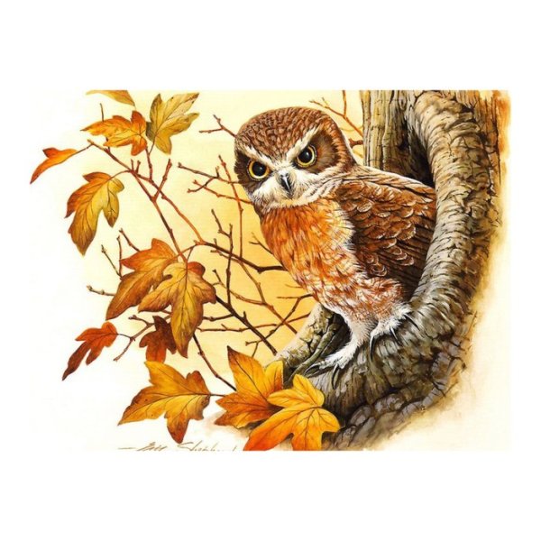 Совушка осенью