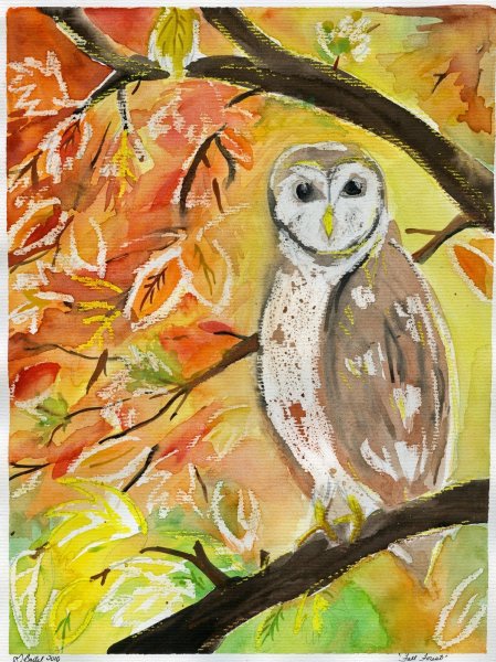 Осенние Совушки рисование для детей