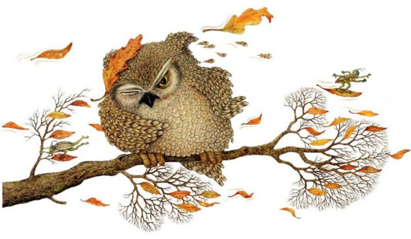 Сова осень