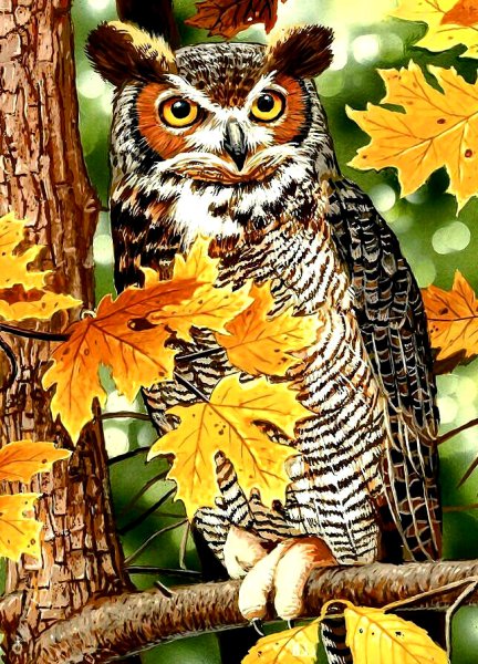 Алмазная мозаика - Филин