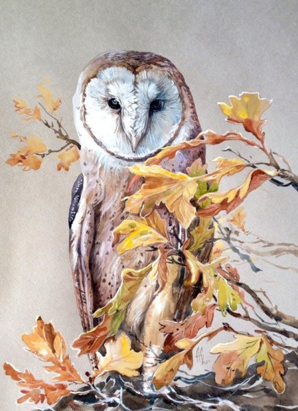 Сыч Сова акварелью