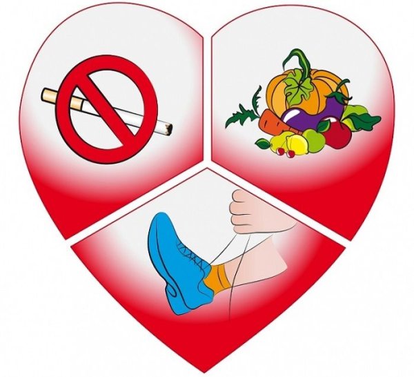 Здоровый образ жизни сердце