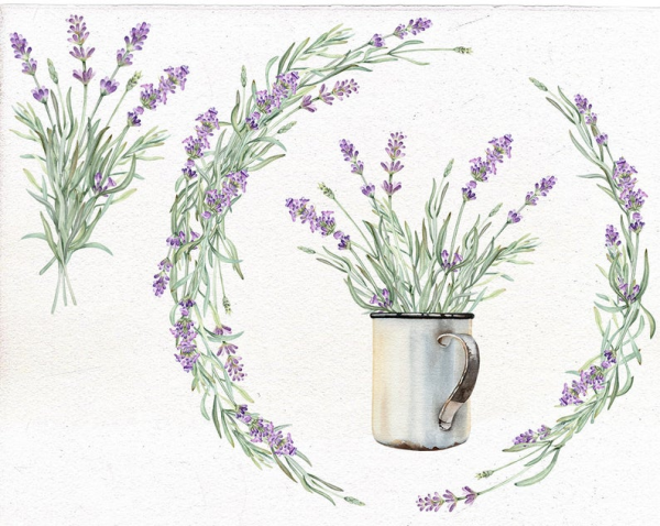 Веточка лаванды