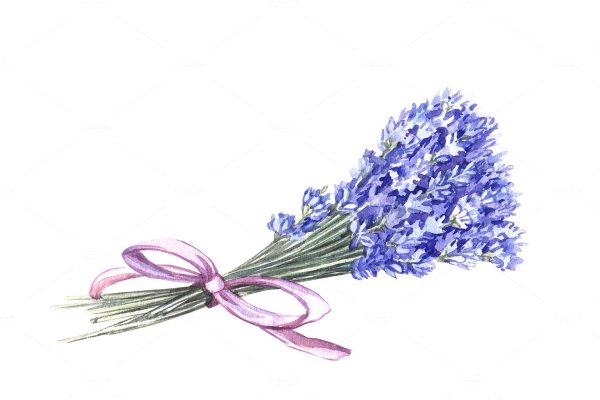 Лавандовая акварель