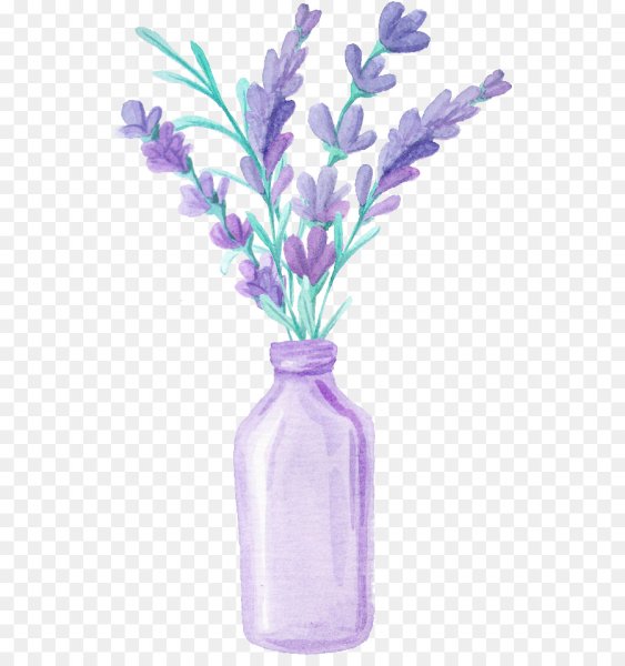 Цветы лаванды акварель