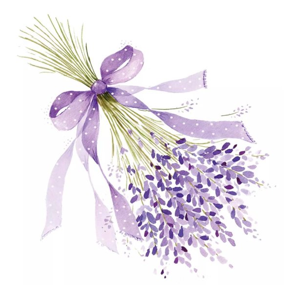 Графическое изображение лаванды