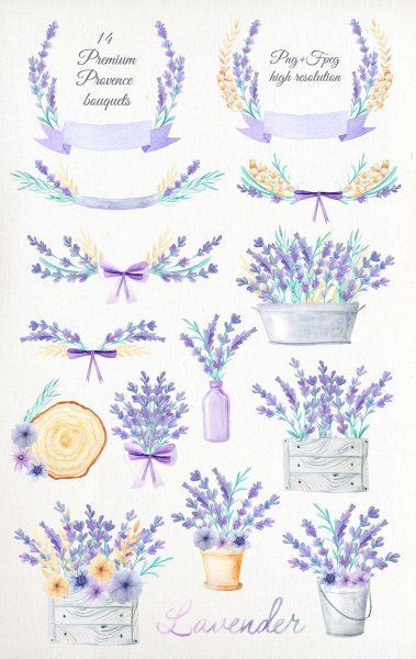 Лаванда узколистная аромат Прованса