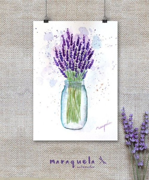 Лаванда на белом фоне