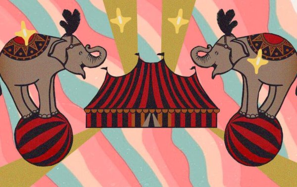 Цирк для дошкольников