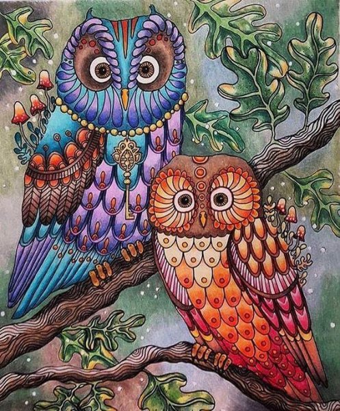 Сова цветная