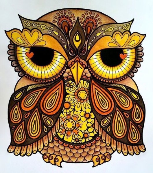 Расписные Совы