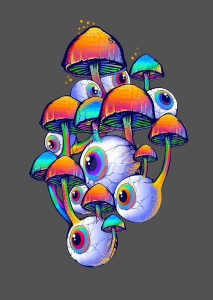 Лсд психоделика галлюциногенные грибы