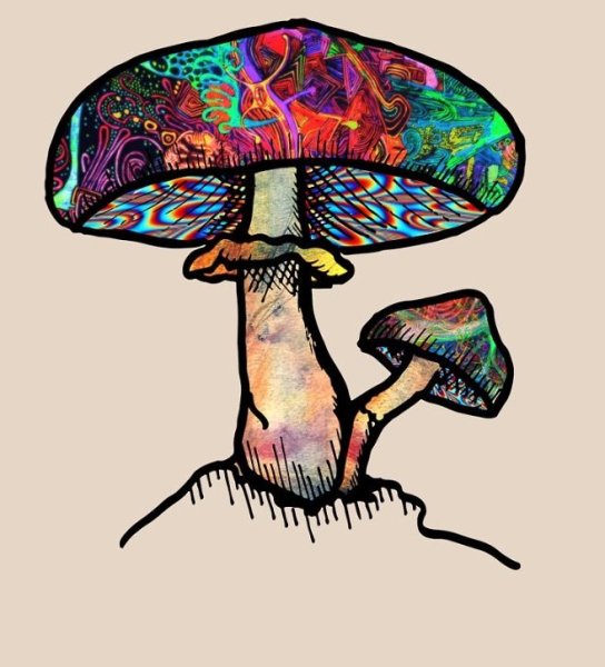 Грибы психоделики