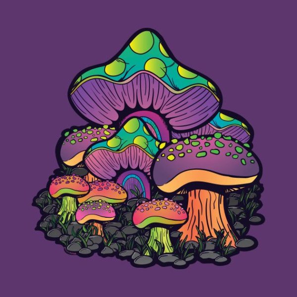 Галлюциногенные грибы