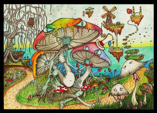 Психоделические грибы