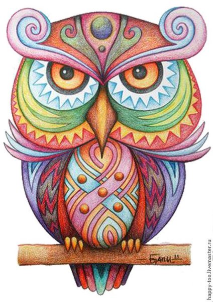 Сова цветная