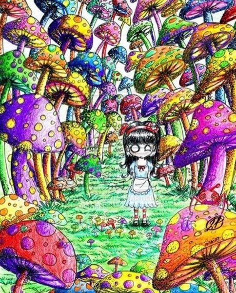 Психоделические грибы