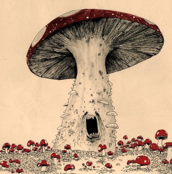 Поганки арт