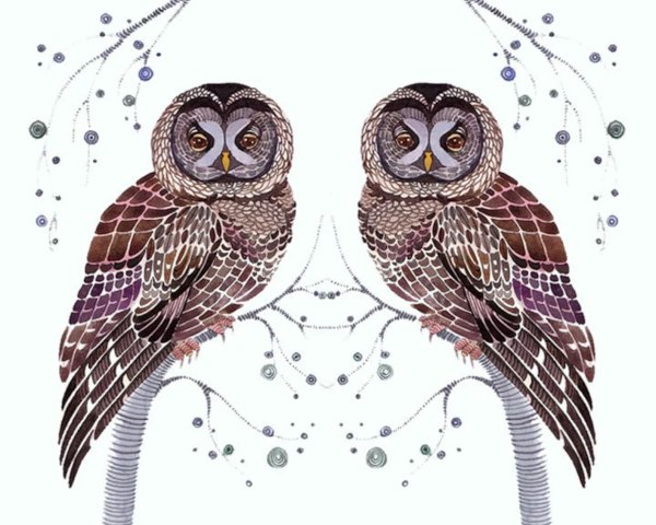 Сова с совятами Графика
