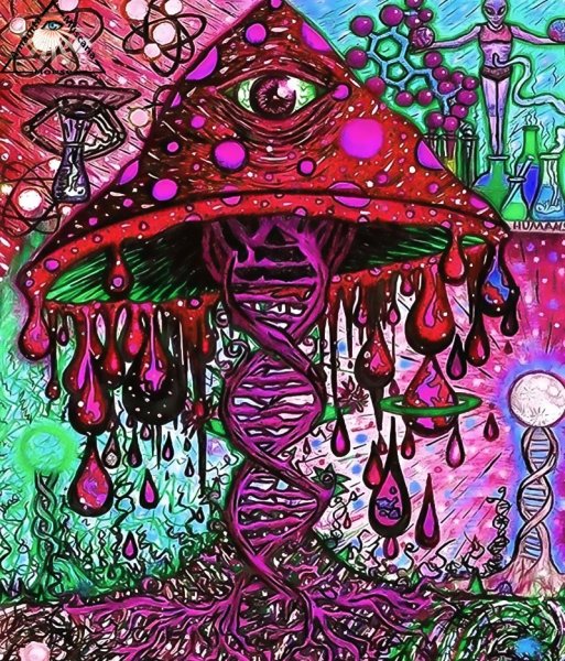 Грибы галлюциногенные психоделика