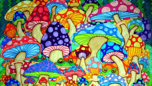Лсд психоделика галлюциногенные грибы