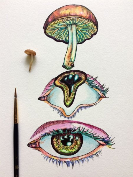 Грибы психоделика скетчи