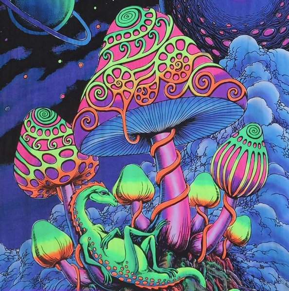 Трип грибы псилоцибы