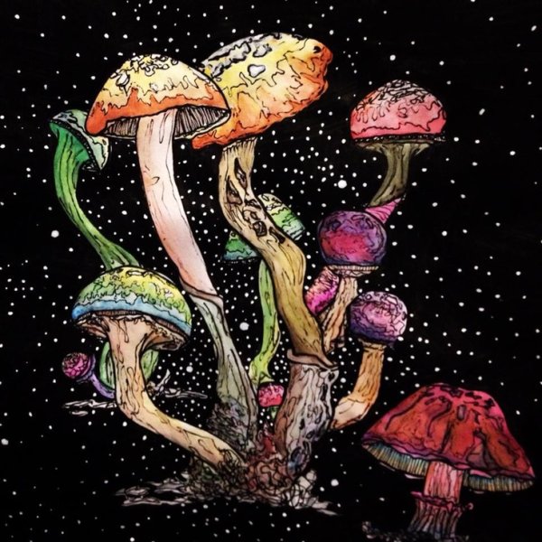 Психоделические грибы арт