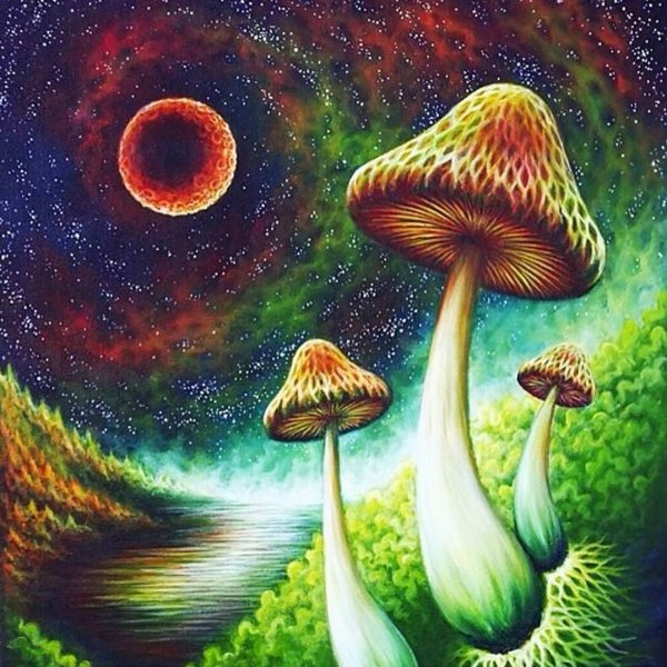 Псилоцибиновый гриб галлюцинации