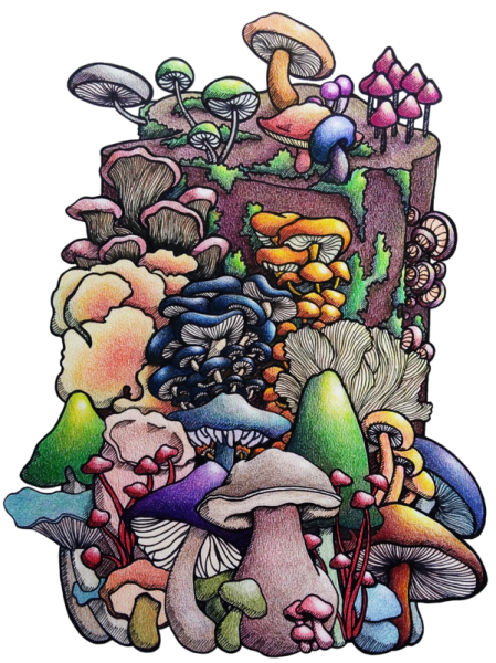 Хиппи искусство грибы