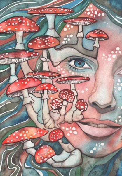 Аманита Мускария психоделика арт