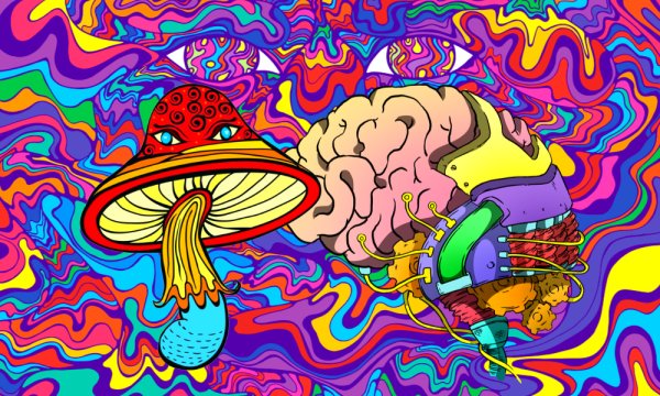 Дмт лсд псилоцибин