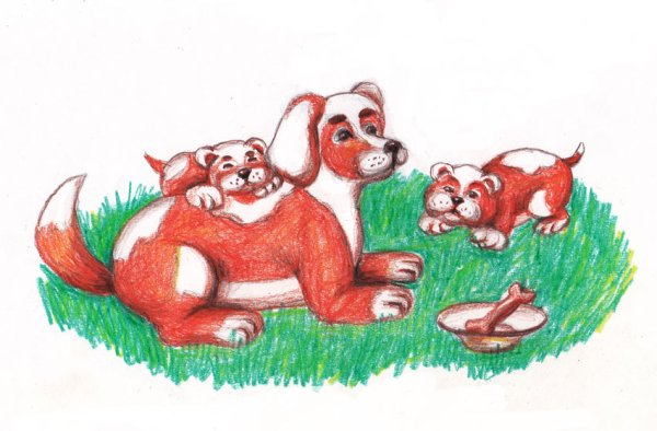 Малька собака