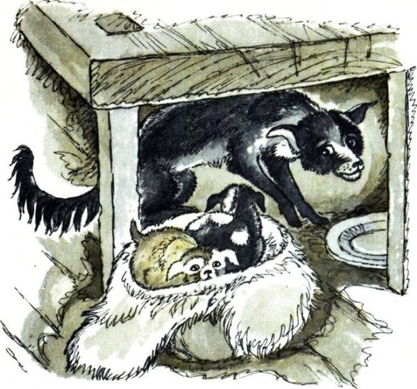 Василий Белов малька провинилась