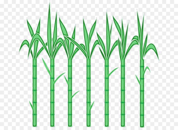 Тростник орнамент