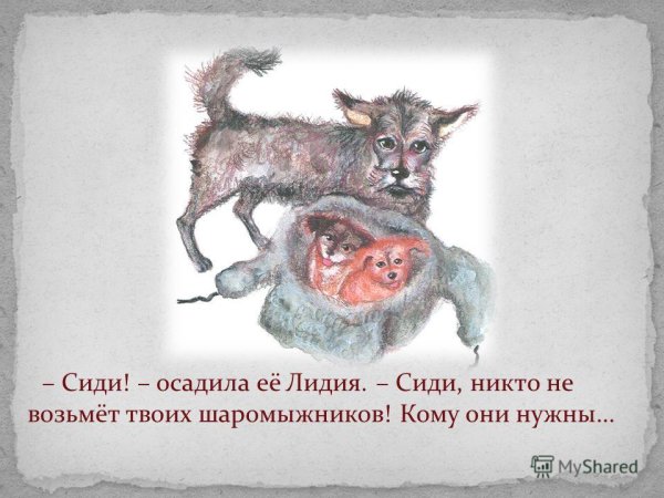 Василий Белов малька провинилась