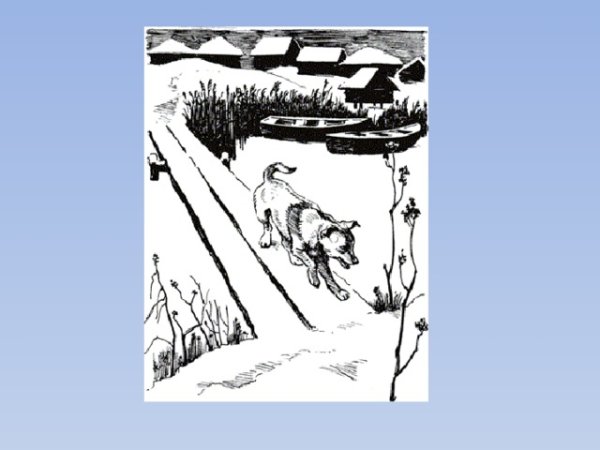 Василий Иванович Белов малька провинилась